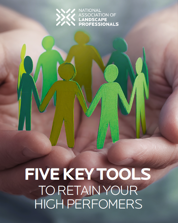 Screenshot 2026-02-11 094015